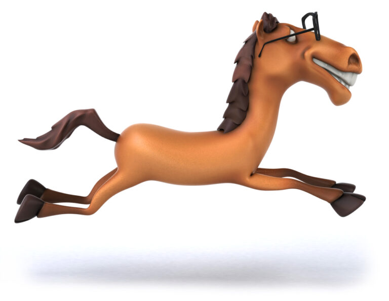 animatie studio